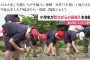 【悲報】農家さん、子供の田植え体験にブチギレ「こんな田植え誰もしてない、大変なんて印象植え付けるな」