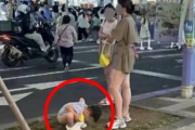 【韓国】中国人観光客、子供の路上排便に韓国民激怒 SNSで大炎上