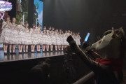 【日向坂46】やっぱり気になる馬の正体wwwwww