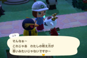 【たぐいのほのぼの島日記】ユキとダルマンのメッセージカード事情とアイーダ家について【あつ森】