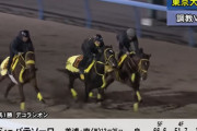 【東京大賞典】ウシュバテソーロ追い切りの常識をぶっ壊してしまう