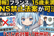 【朗報】フランス、15歳未満のSNS禁止法案が可決！9月施行へ「いじめ対策」「欧州初」