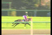 【競馬】3歳で秋天と有馬を勝った最強馬