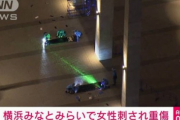 【速報】Kアリーナ横浜で女性が刺された事件、自作自演だった
