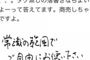 【悲報】古塔つみさん「私の作品で商売しちゃダメですよー」