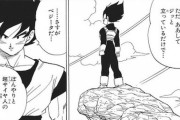【ドラゴンボール】ベジータ「吸収だ融合だ合体だってのはフェアじゃない」←これｗｗｗ
