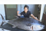 海釣りでクロマグロ釣れちゃったら持って帰ってもいいの？