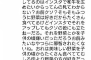 【悲報】堀江貴文「質問ありますか？」一般人「野菜食べてますか」堀江貴文「お前死んだほうがいいよ」