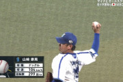 【オールスター】山崎康晃、パリーグ打者相手に全球ナックル勝負→無失点