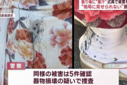 成人式で女性が振り袖に『墨汁』をかけられた事件、犯人を逮捕！！同様の被害届は10件