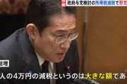岸田首相の所得税減税はなぜ不評？東大教授｢選挙狙いがあからさま｣