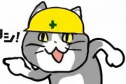 【画像】現場猫さん、無能すぎて吊るされてしまう・・・