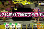 【スプラトゥーン2】初心者なんだがフェスに向けて練習するブキでオススメあったら教えてくれ