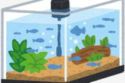 アクア民さん「賃貸で90cm水槽買おうか悩んでます」