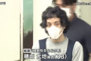 【狂気】甥(6)を鉄パイプで撲殺した男(33)、その後に姉と妹を性的暴行