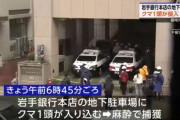 【悲報】岩手銀行本店の地下駐車場にクマ1頭が侵入
