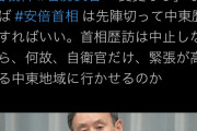 ホムルズ望月「安倍首相は先陣切って中東行け！自衛隊だけ行かせるのか！」←中東の勉強してから言えや