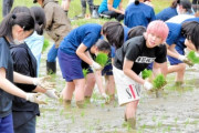 手越祐也さん、子どもたちと田植え「福島のおいしい農産物伝えたい」