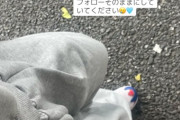 浅倉樹々ちゃんが体調を崩して長い日が過ぎてるのに誰も心配していない