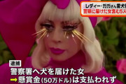 【懸賞金50万ドル】銃で強奪されたレディー・ガガさんの愛犬を警察へ届けた女と関与した男女5人を逮捕