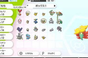 ポケモン剣盾ボックス整理できない部