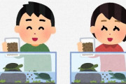 俺「ペット飼いたい」　お前ら「亀がいいよ」「亀にしとけ」「亀に決まってるだろ」「亀以外ありえない」「今のトレンドは亀」