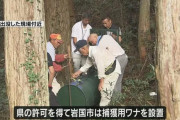 【山口】「頭と腕は骨が見えてた」　７０代男性がクマに襲われ重傷