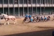 リアル馬力！馬1頭と人間10人が綱引き勝負、その結末は？