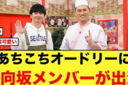 【朗報】あちこちオードリーに出演する日向坂メンバーがコチラ【日向坂46】