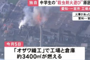 【悲報】ガキ「蜂の巣やんけ！ガス缶火炎放射器で焼いたろw」→3400平方メートルが焼ける