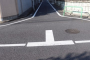 自転車乗りに聞きたいんだがt字路直進するときって止まる？？？