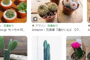 【画像】ガチニートがダイソーで買い集め育てたサボテンたちがこちらァ！！！！！！！→