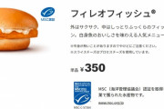 10年ぶりマック「ﾌｨﾚｵﾌｨｯｼｭ350円です」　ワイ「う…嘘やろ…こ…こんなことが許されてええんか…」