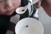 中国キッズ、おたまじゃくしをパクパク