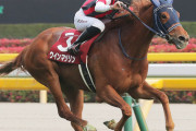 【初重賞制覇！】横山武史騎手「風でダートコースからの砂が凄くて、外差しの馬は来ないと思った」