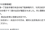【悲報】岩手銀行本店地下駐車場にクマ←これまじでヤバくね？ありがとう自民党