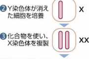 【緊急】男性同士で赤ちゃんが産める未来、ガチで実現か