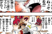 【ワンピース】ルフィとウソップが メリー号を巡って喧嘩した場面ｗｗｗｗｗｗ