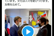 【画像】マクロン大統領、日本語でツイート｢FAIRYTAILはフランスで神話になっている｣