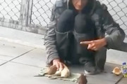 ネズミを飼い慣らして芸を仕込むホームレスの動画が話題に。