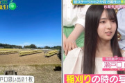 瀬戸口心月は米不足の今も米には困っていない模様【乃木坂スター誕生！SIX】【乃木坂46】