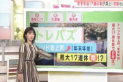 【悲報】政府「年末年始17連休はデマ」→朝日「ネットでデマ流れる」→マスコミが流しました
