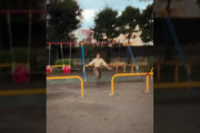【動画】抱きついてくるのは？❤️🥺#日向坂46_イチャイチャ虫 #日向坂46#上村ひなの #平岡海月