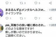 【悲報】陰キャ、『自動返信bot』とレスバを繰り広げてしまうｗｗｗｗ