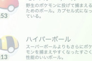 【ポケモンGO】ポールが足りないとか薬が足りないって人
