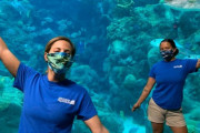 【新型コロナ】米フロリダの水族館、5月15日から営業再開を発表　できる限りであらゆる対策を講じながら