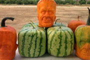 海外「日本の四角スイカの進化系かな」 カリフォルニアでフランケンシュタイン型のカボチャが作られる