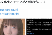 自分を女化した画像をあげただけのおっさん、似過ぎてた女がいちゃもんをつけて炎上ｗｗｗｗｗｗｗｗｗ