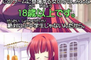 美少女ゲームライター「少女ヒロイン出したいけど18歳未満だとアウトだし……そうだ！」