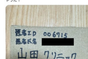 (ヽ`ん‘)「診察券をなくしたら再発行に50円も請求された。ムカついたからダンボールで自作してやった」